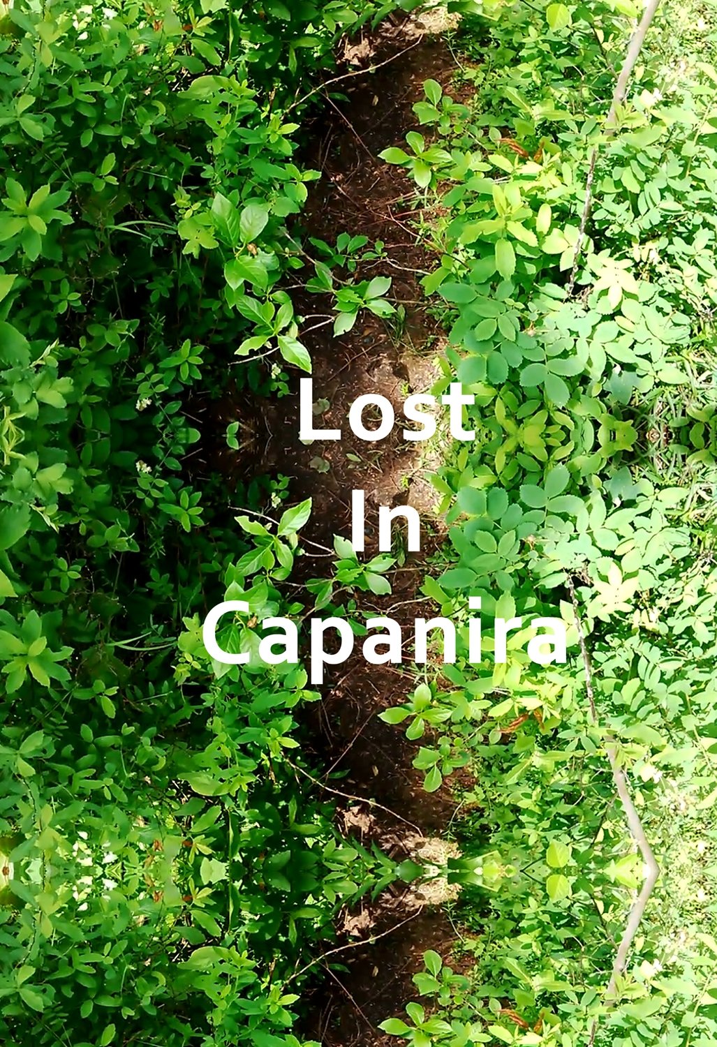Content cover