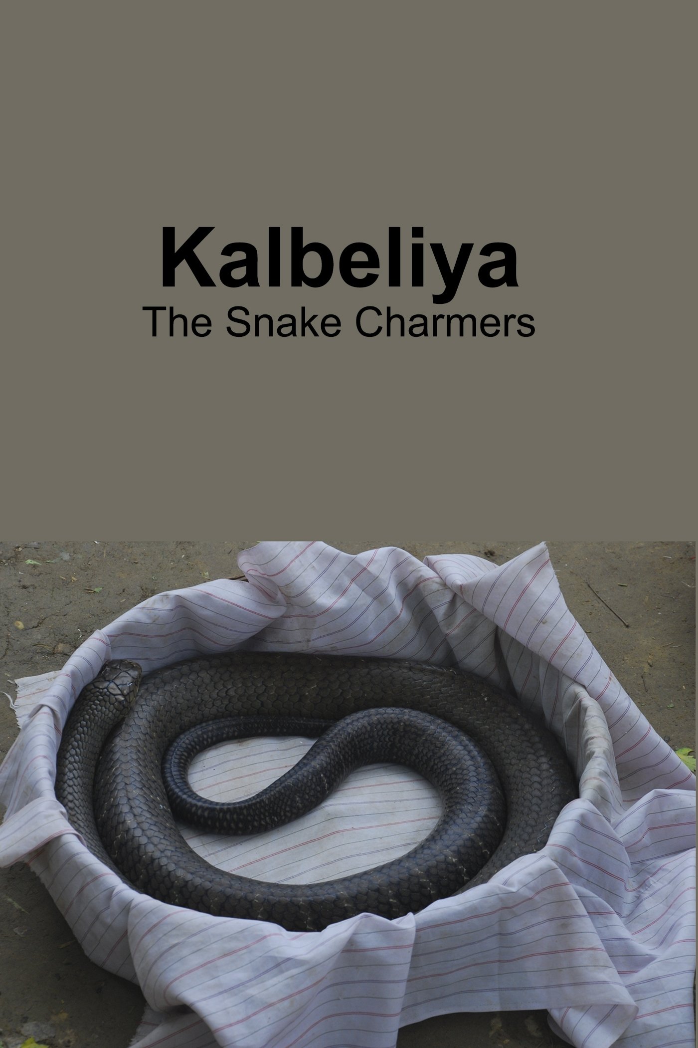 Content cover