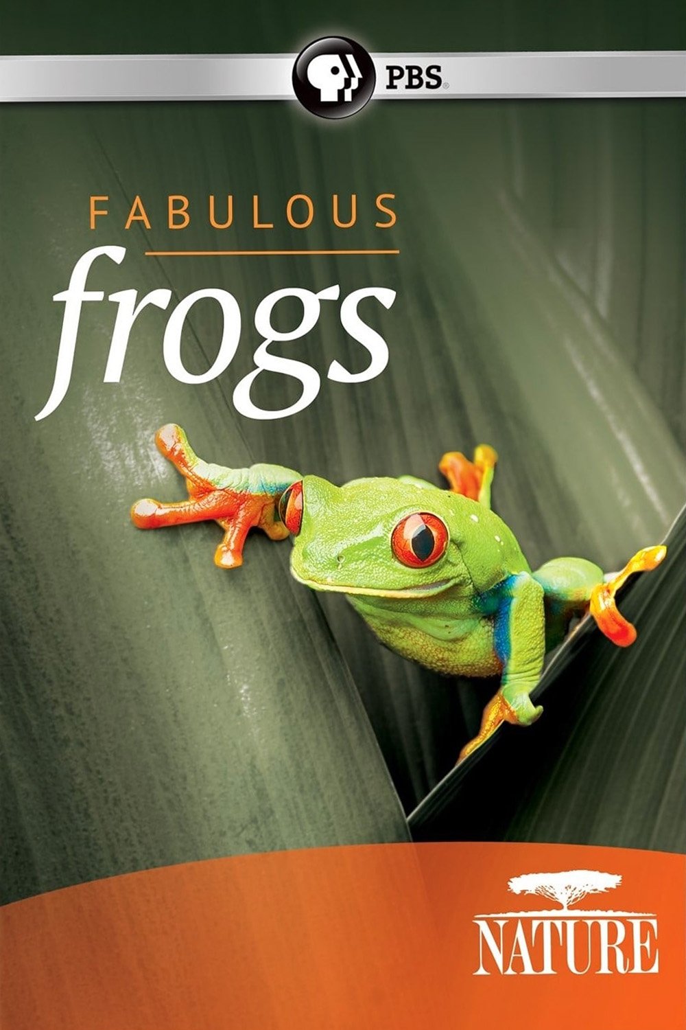 Fabulous Frogs