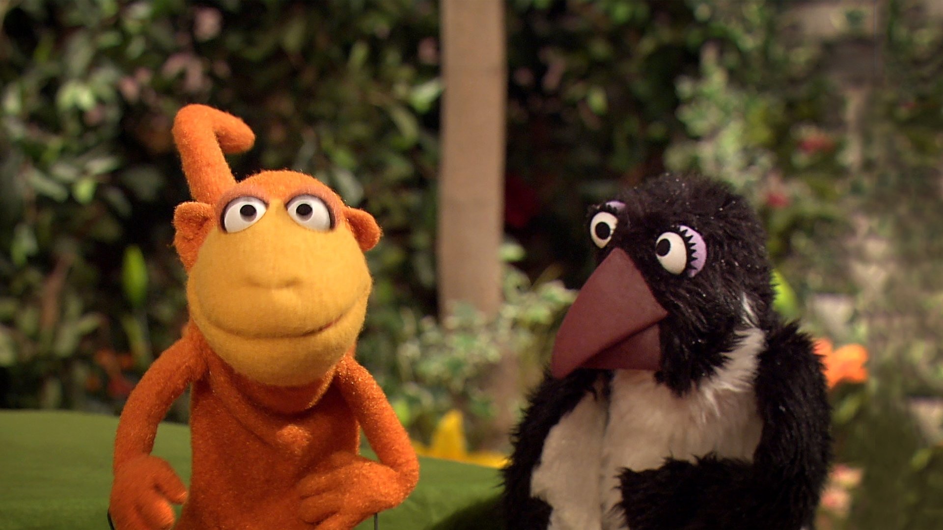 Sesame Street Staffel 47 :Folge 20 