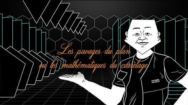 Voyages au pays des maths - Les pavages du plan ou les mathématiques du carrelage
