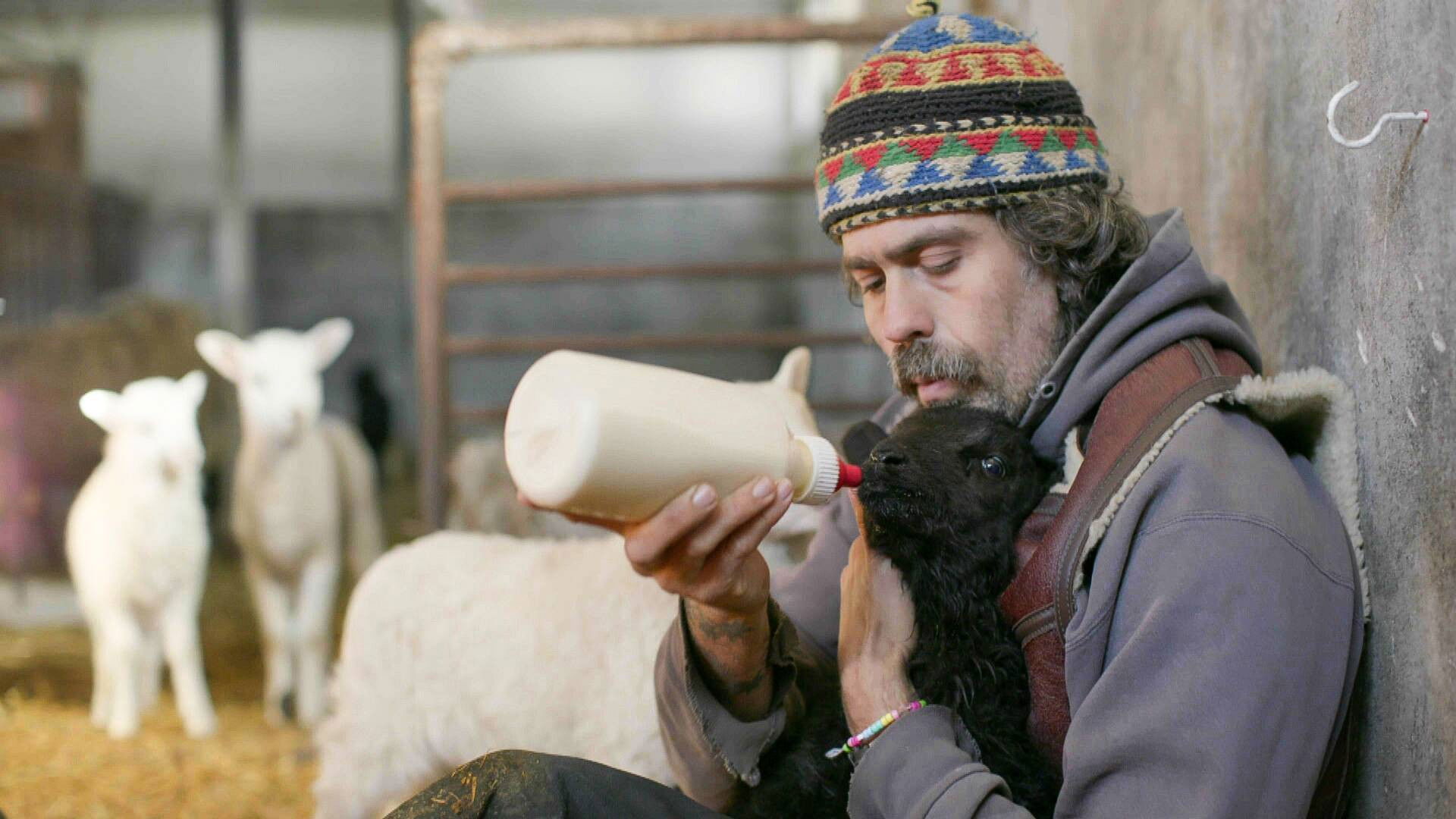 Hjälp, vi har köpt en bondgård! - Épisode 1