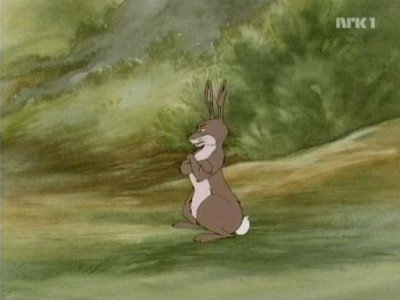Les Animaux du Bois de Quat'sous - L’ami disparu