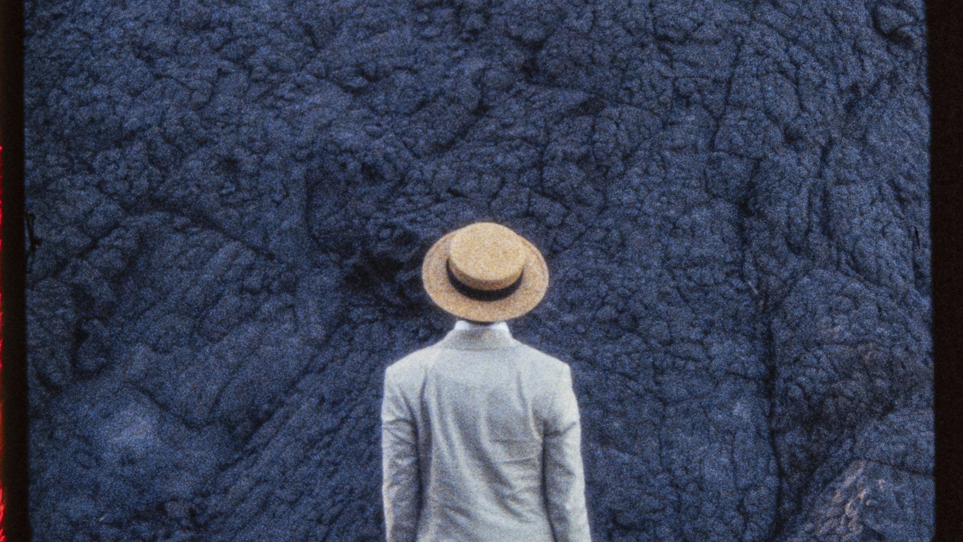 Amateur in the Moon