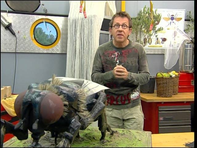 C'est pas sorcier - Les mouches : les sorciers prennent la mouche