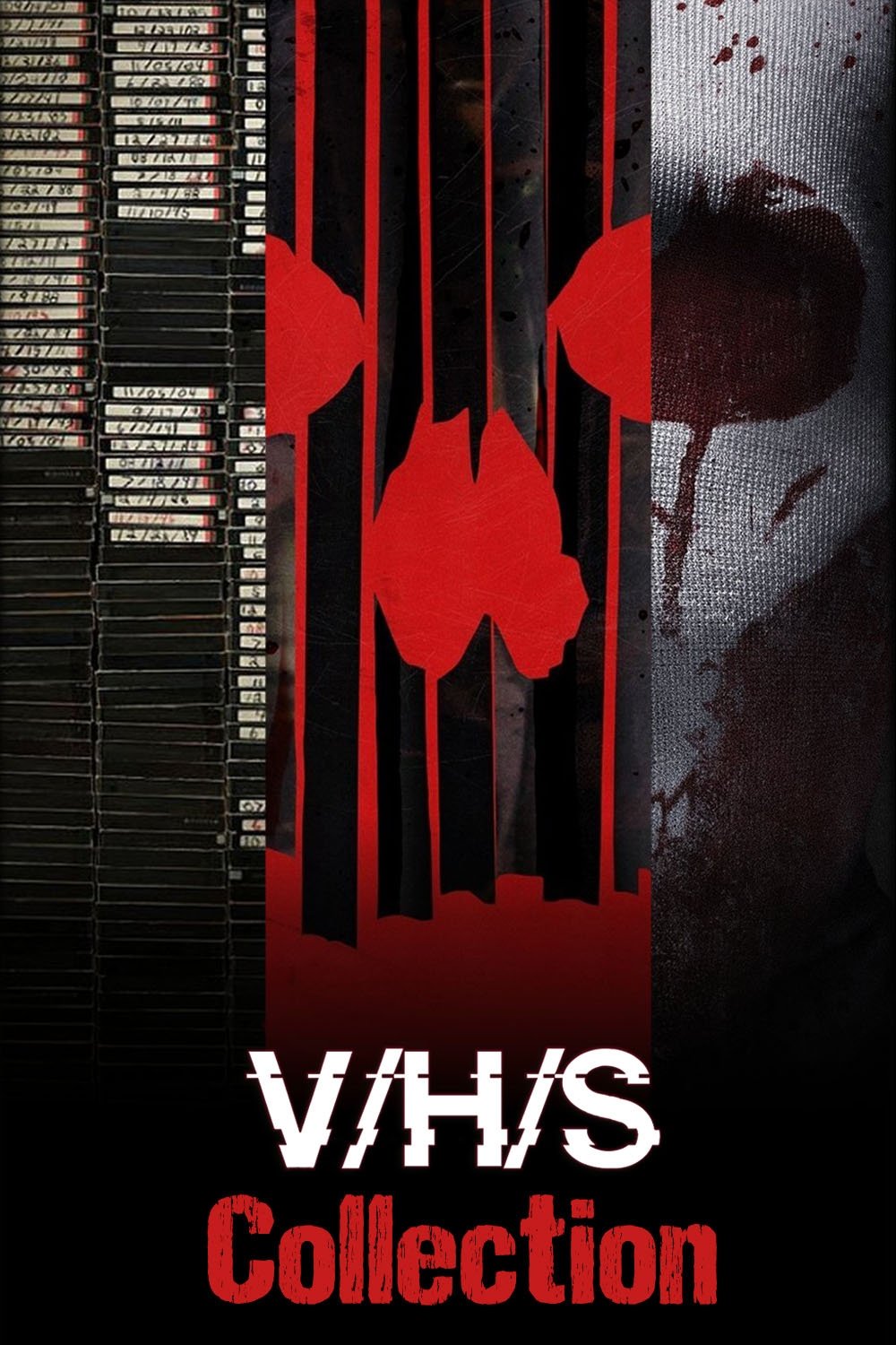 V/H/S