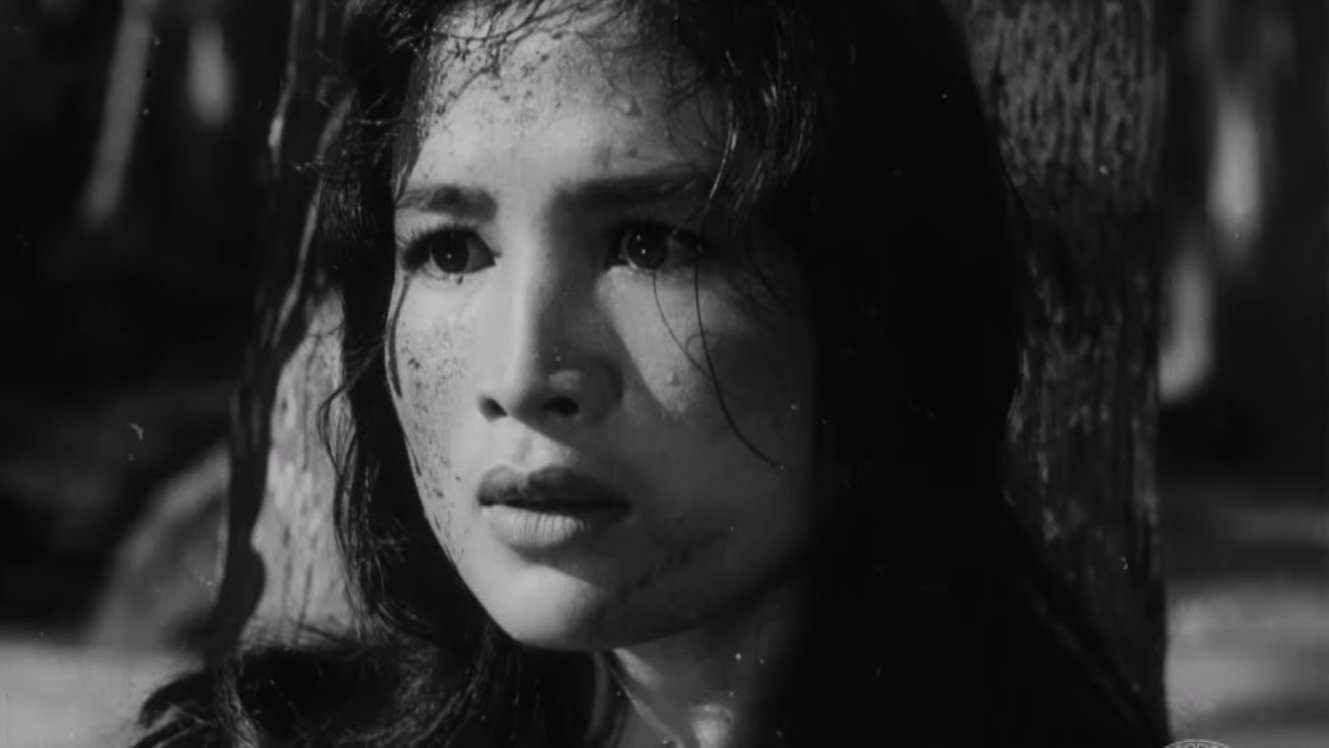 Vĩ Tuyến 17 Ngày Và Đêm (1973)