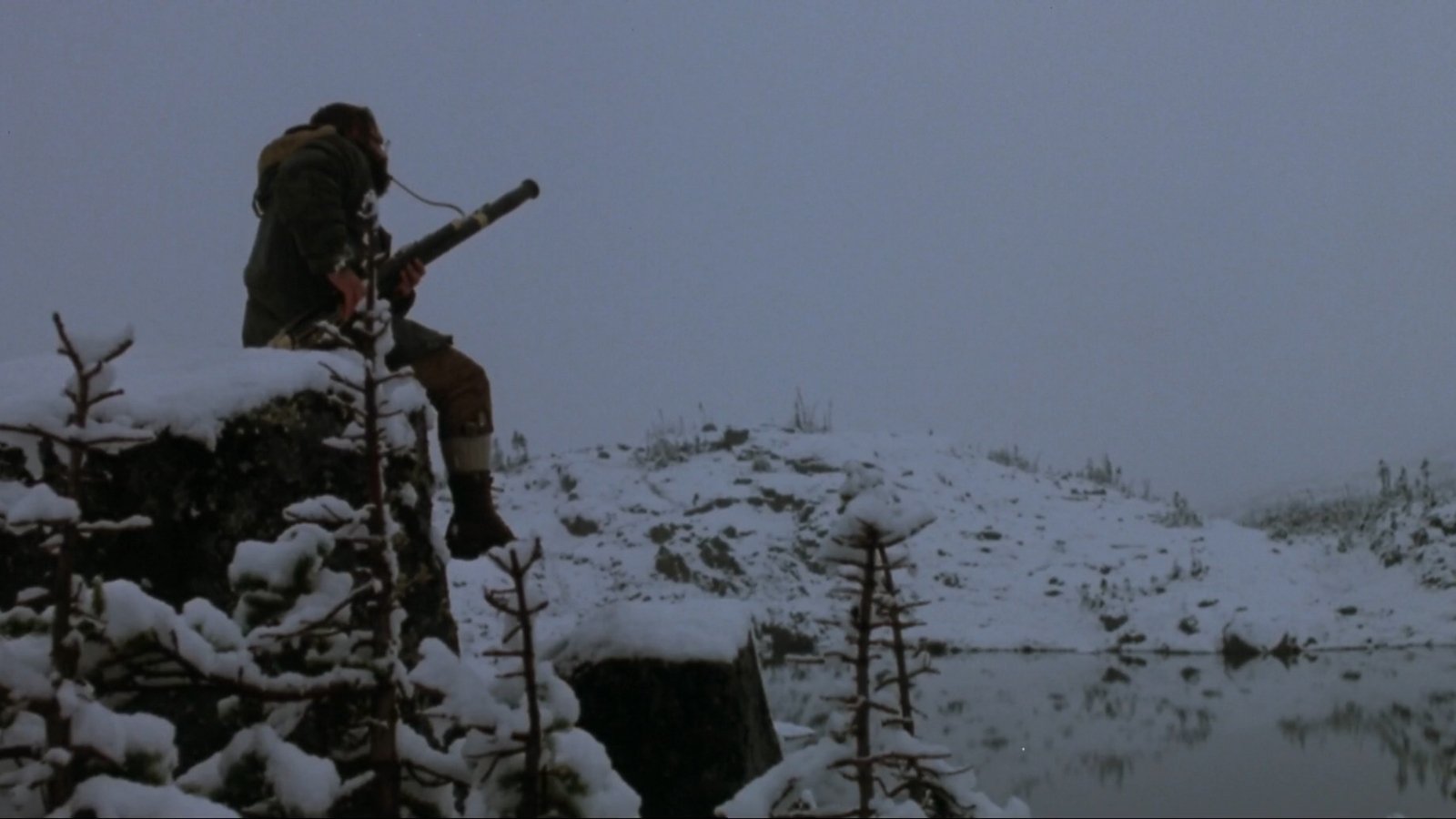 Never Cry Wolf (1983)