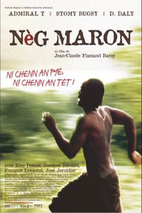 Affiche du film Nèg maron 135662