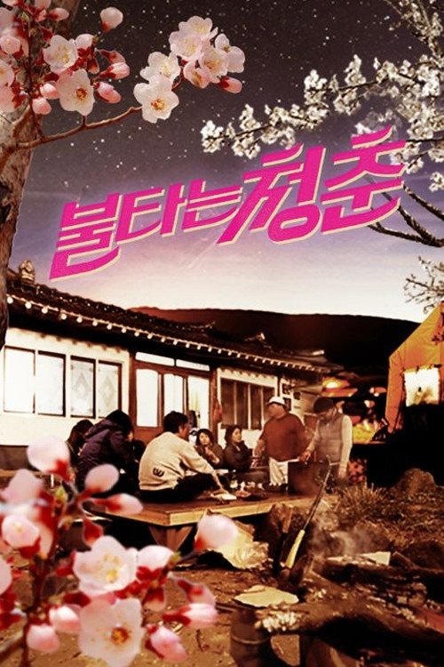 불타는 청춘 - Season 2