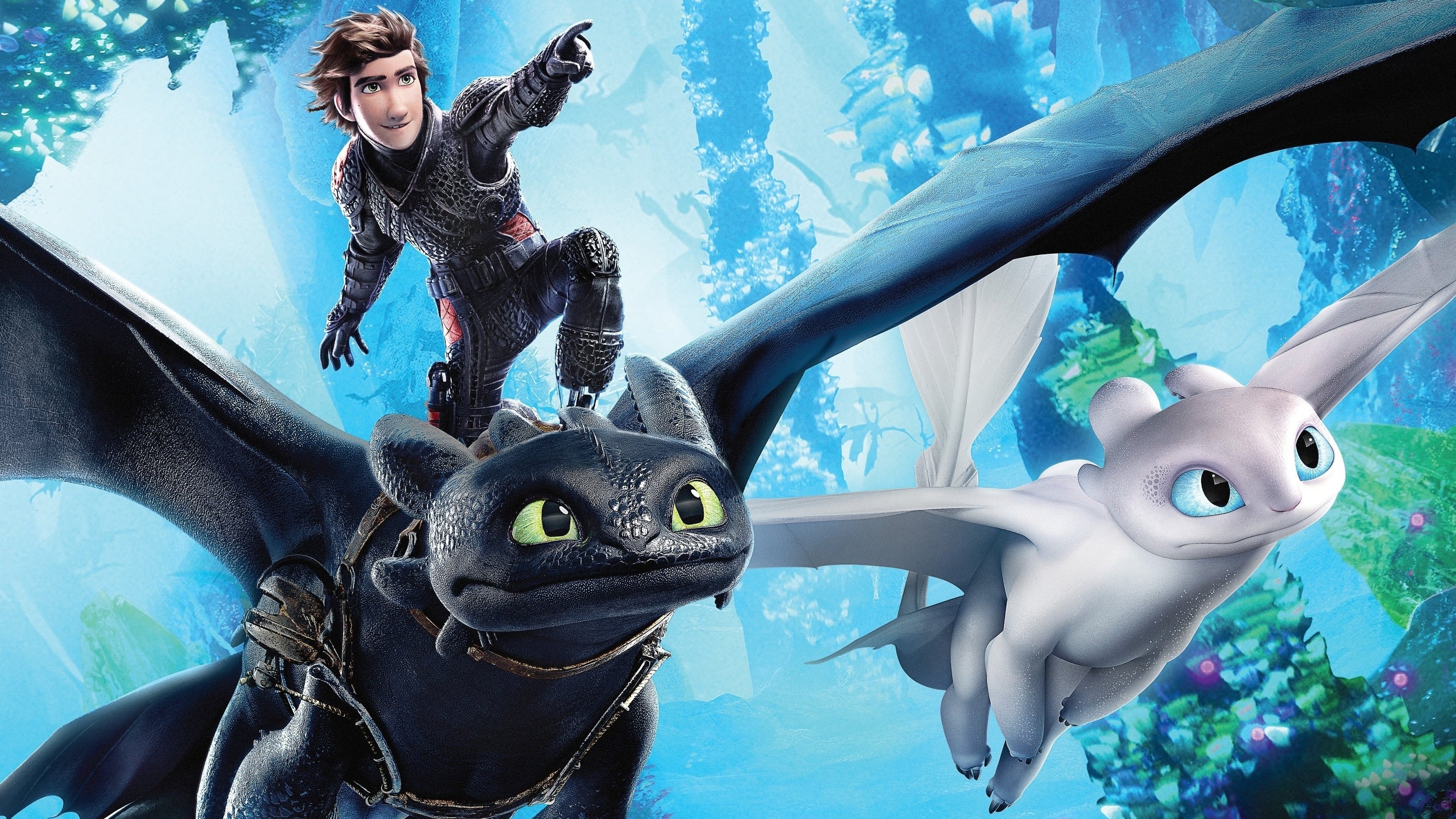 How to Train Your Dragon: The Hidden World (2019)