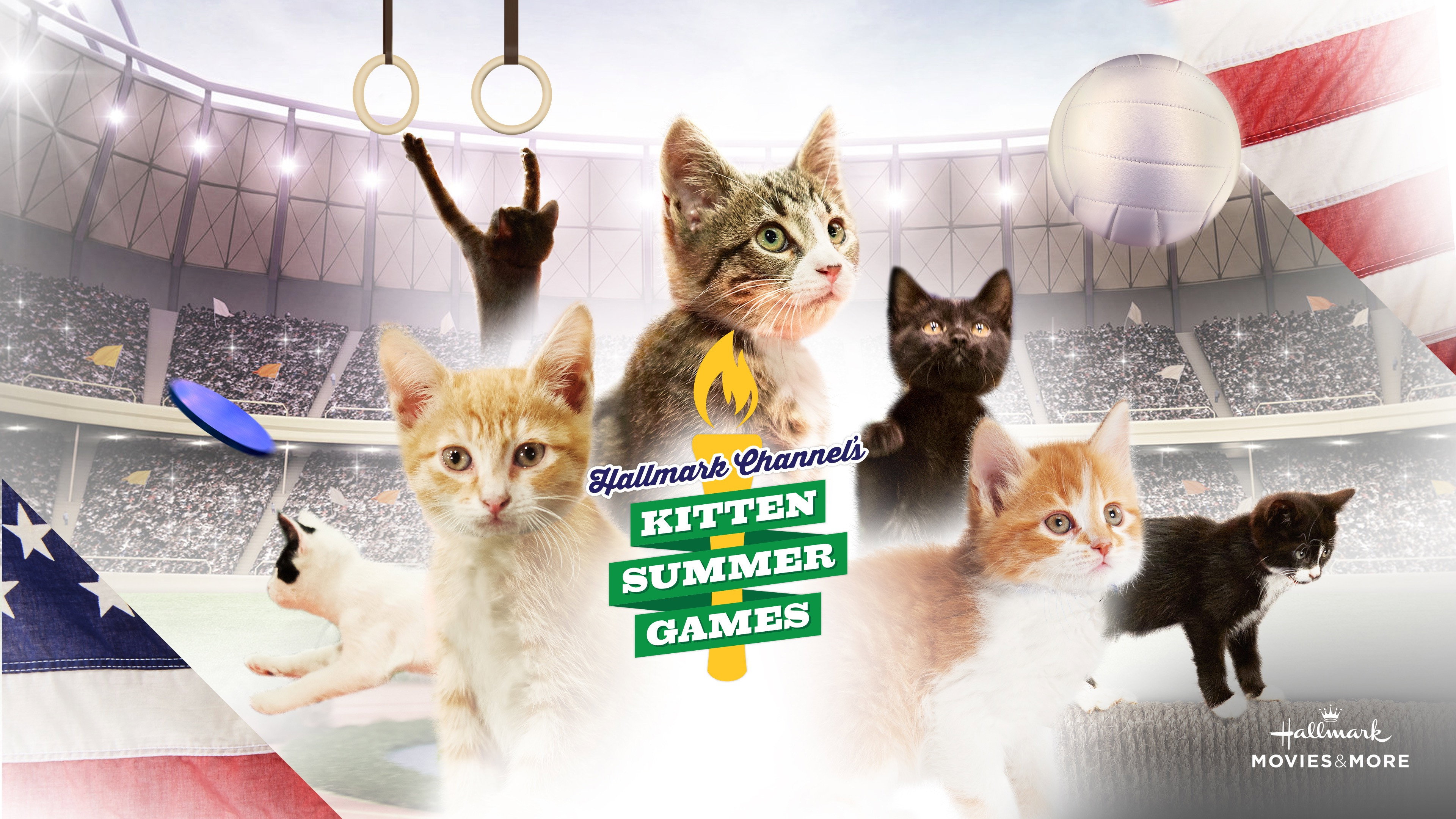 Kitten Summer Games