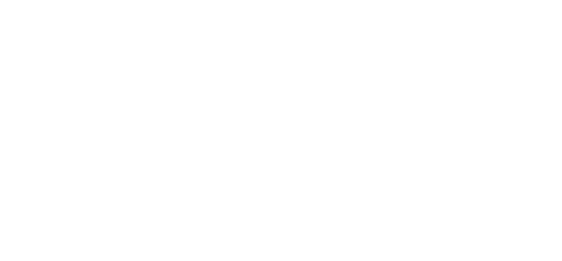 Lace Logo