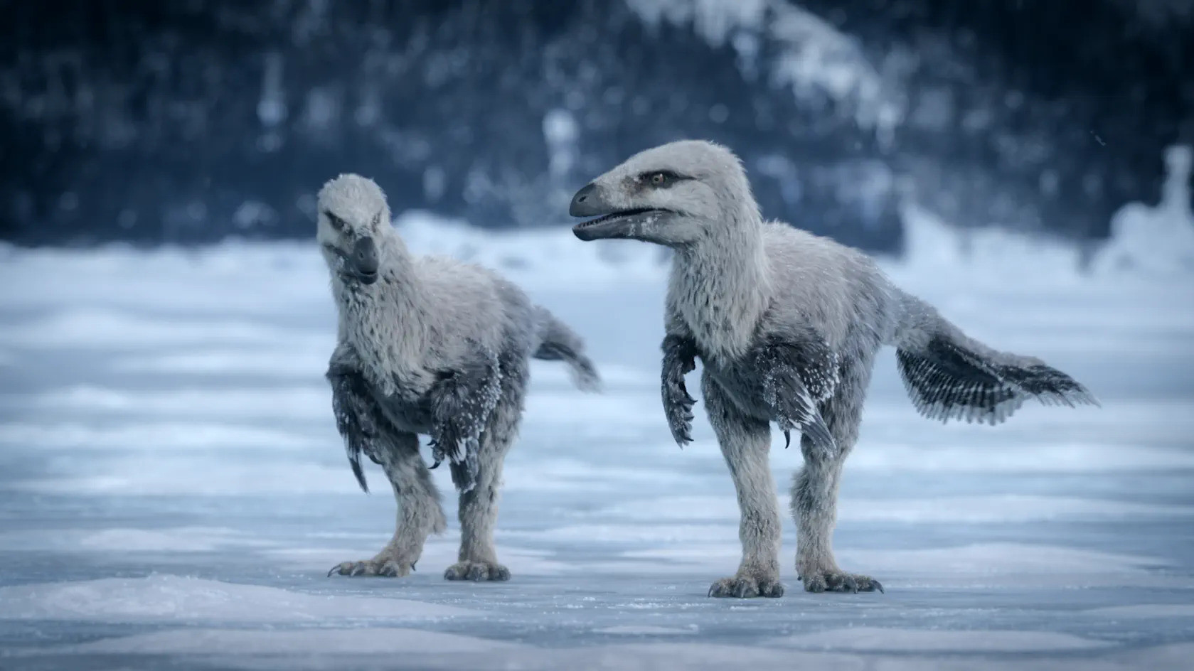 Nature's Greatest Show