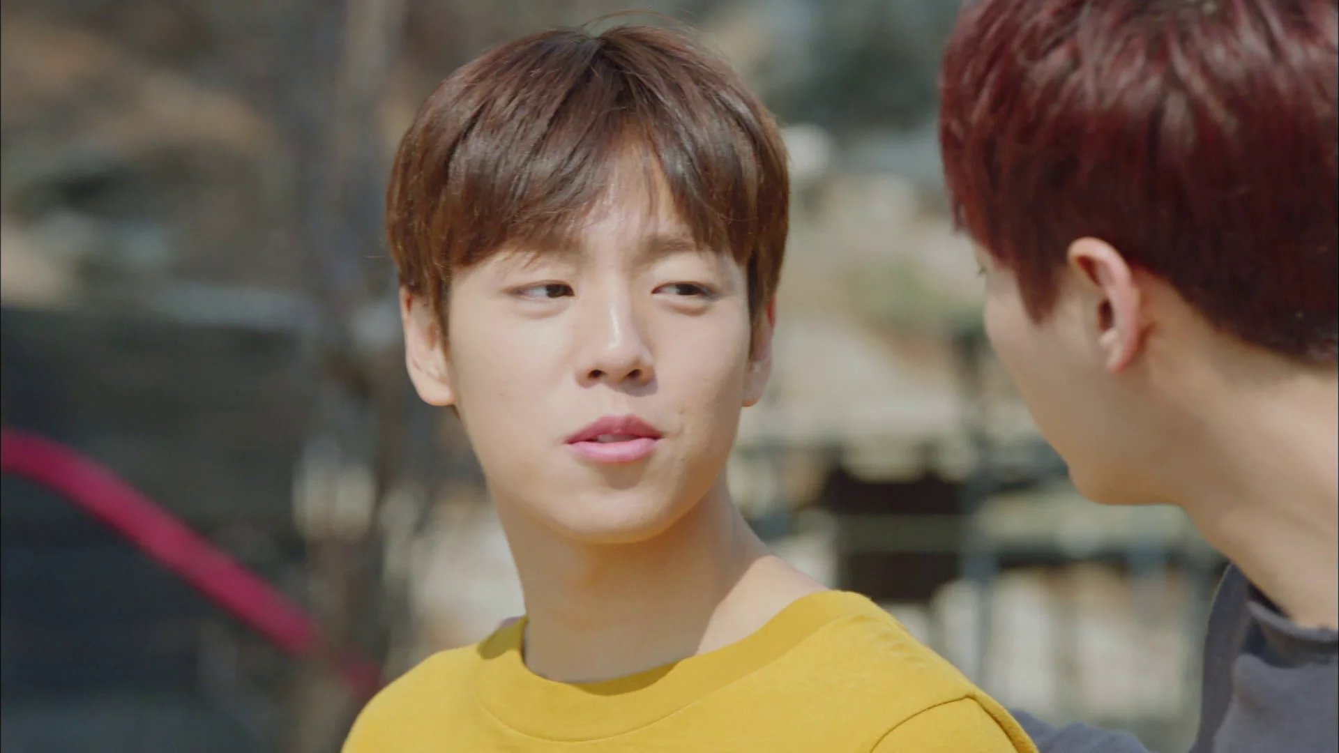 The Liar and His Lover