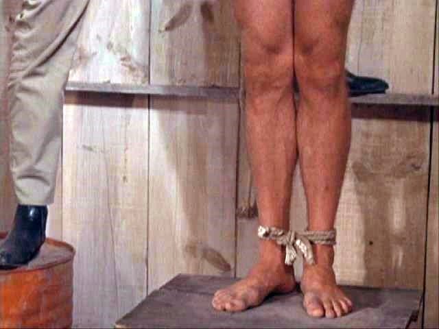 Tarzan