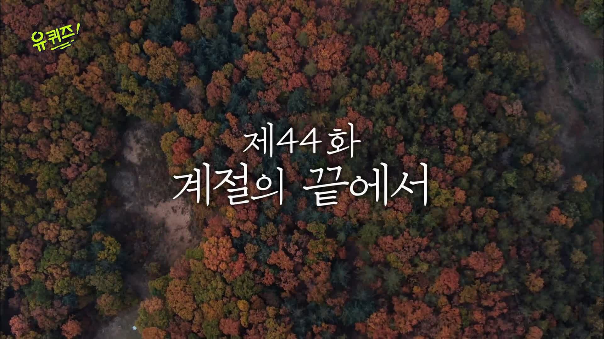 Episode 44