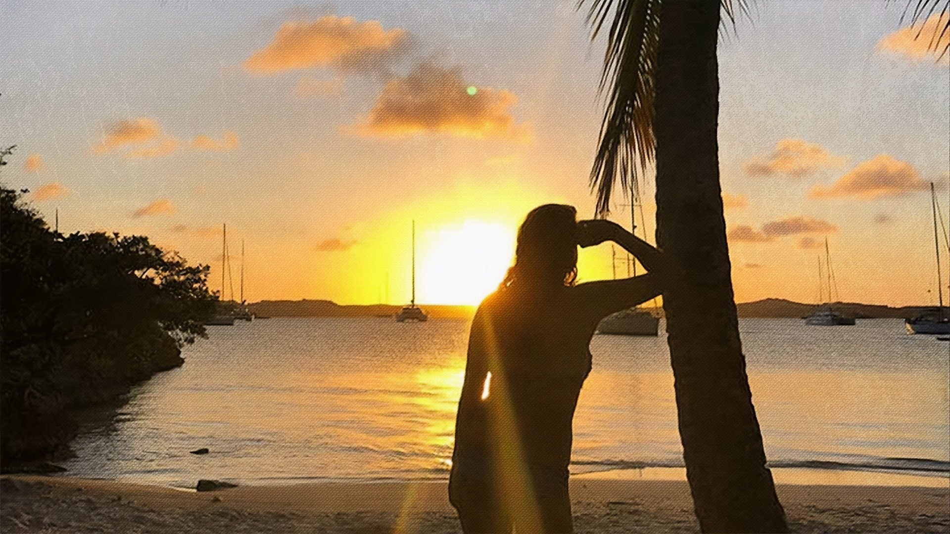 Missing in Paradise: Searching for Sarm S1E3 backdrop