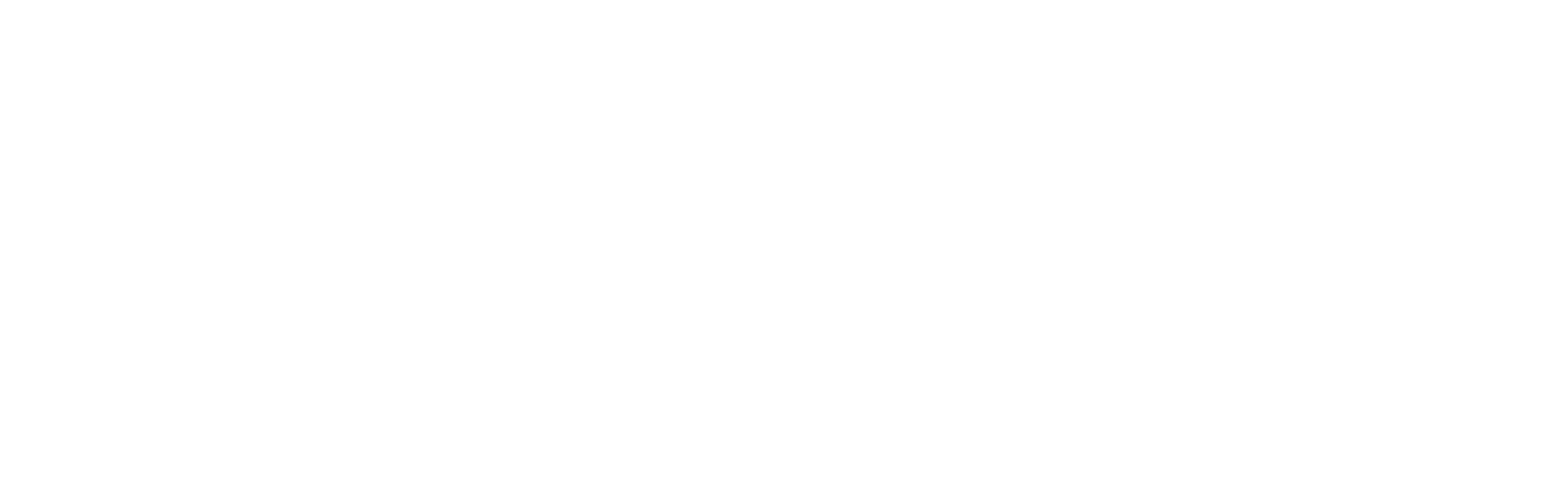 Cute Programmer