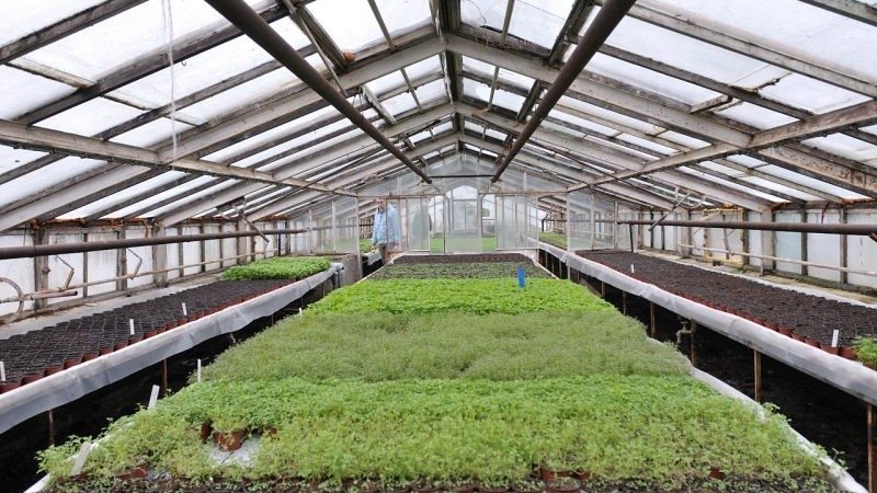 Thumbnail for Episode 121 Season 1 Episode 121