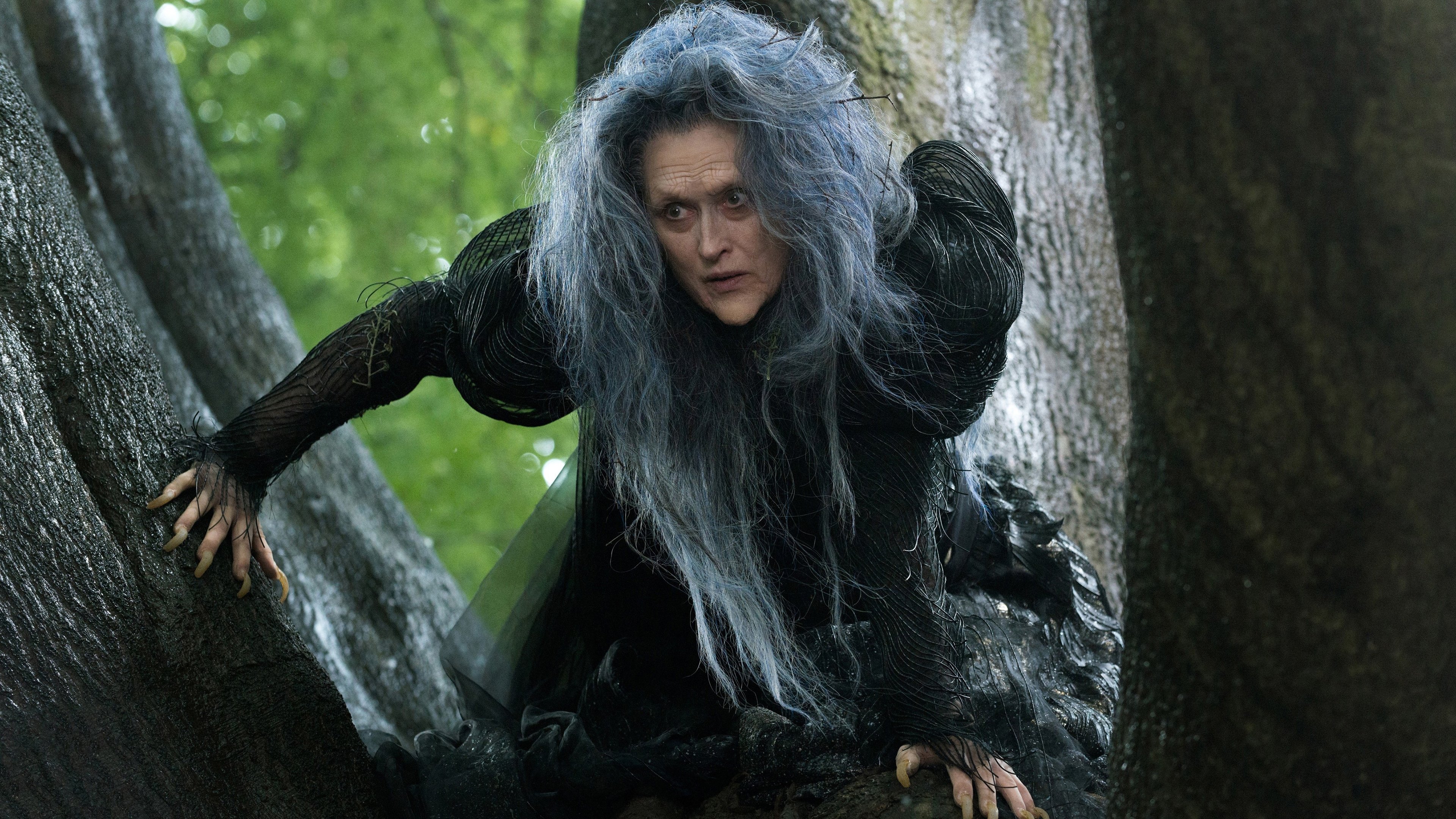 Into the Woods : Promenons-nous dans les bois