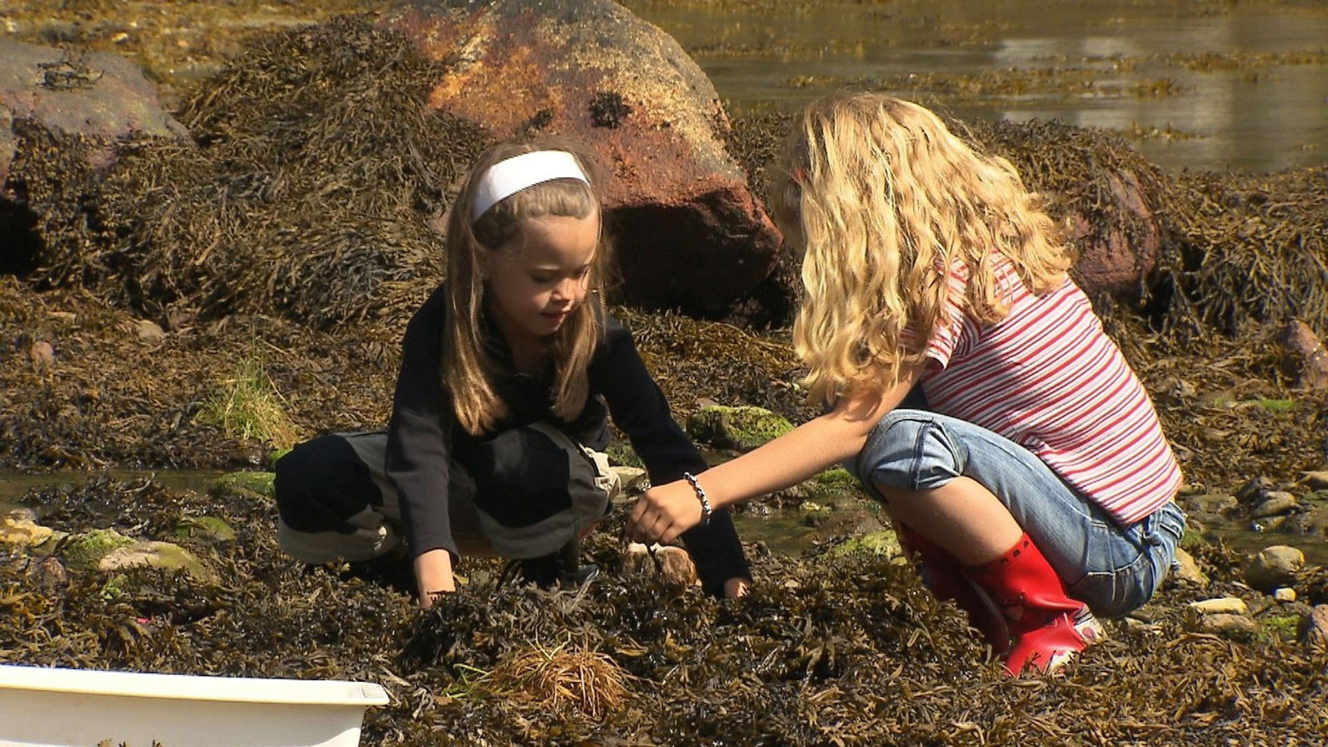 Thumbnail for Episode 3 Season 1 Episode 3