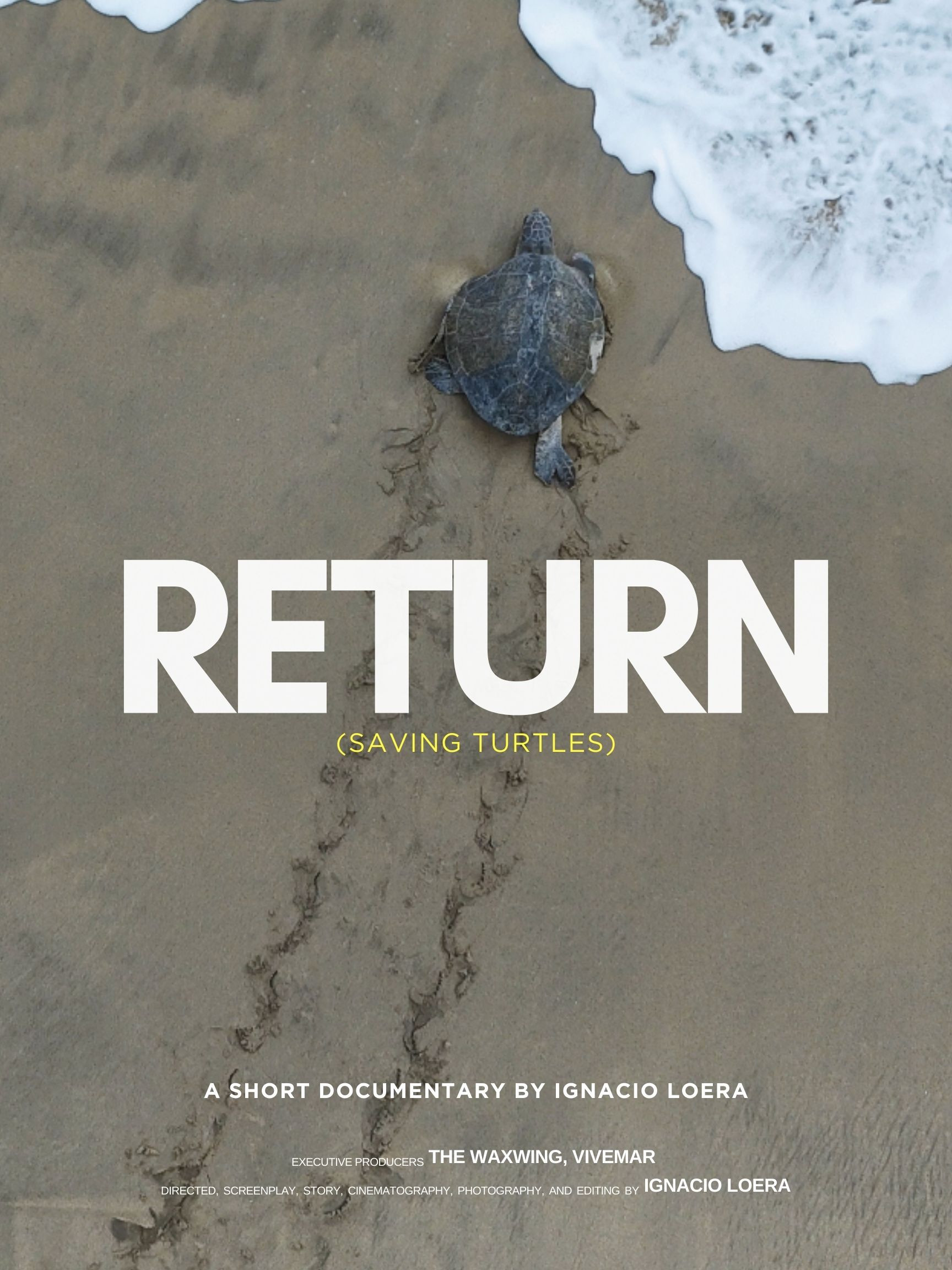 RETURN: Saving turtles