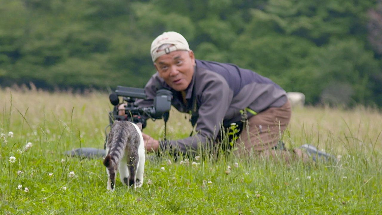 Thumbnail for The Key to a Kitty's Heart - A Cat's-Eye View of Japan Special Season 0 Episode 3