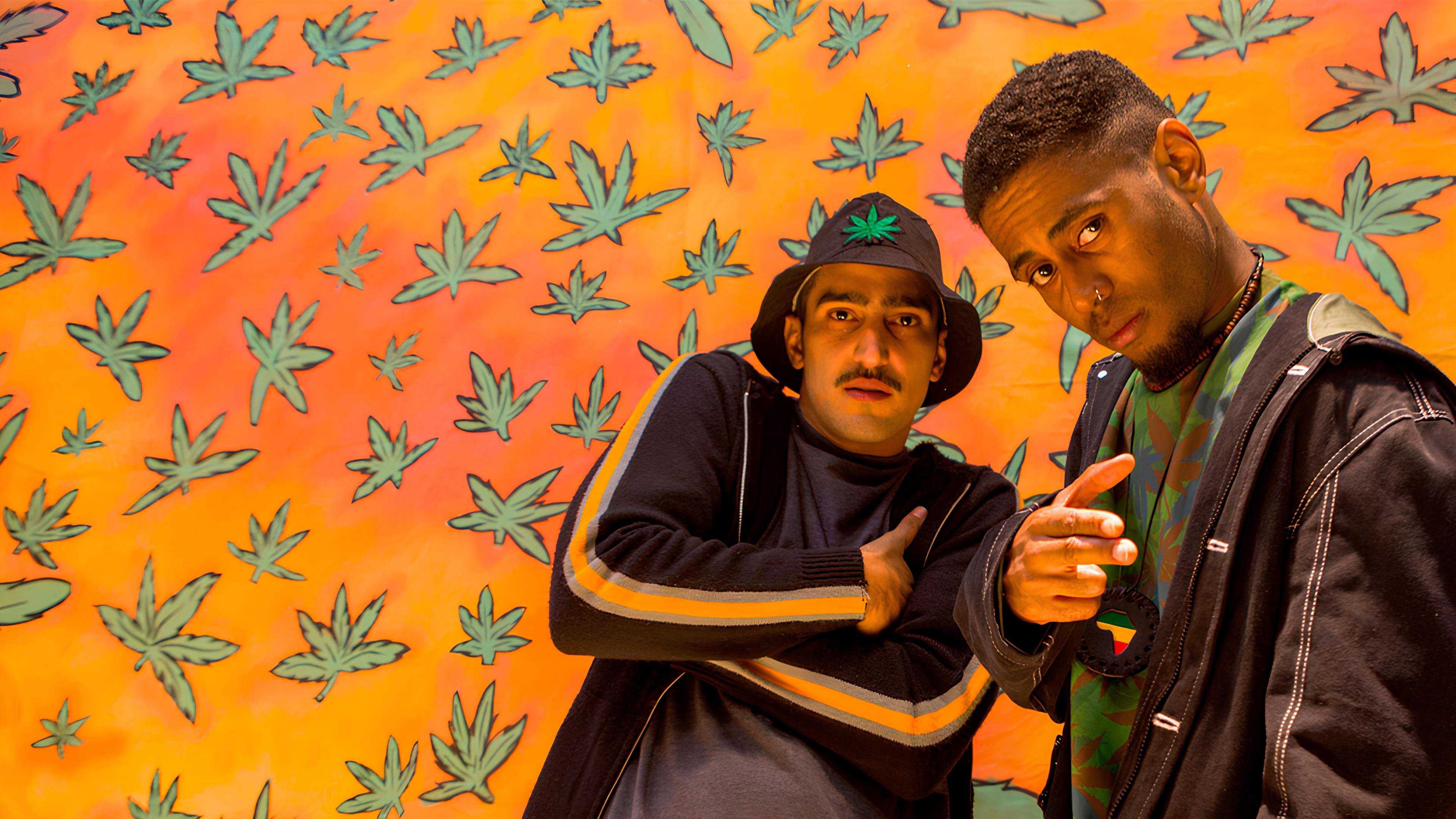 Poster for the movie Legalize it!