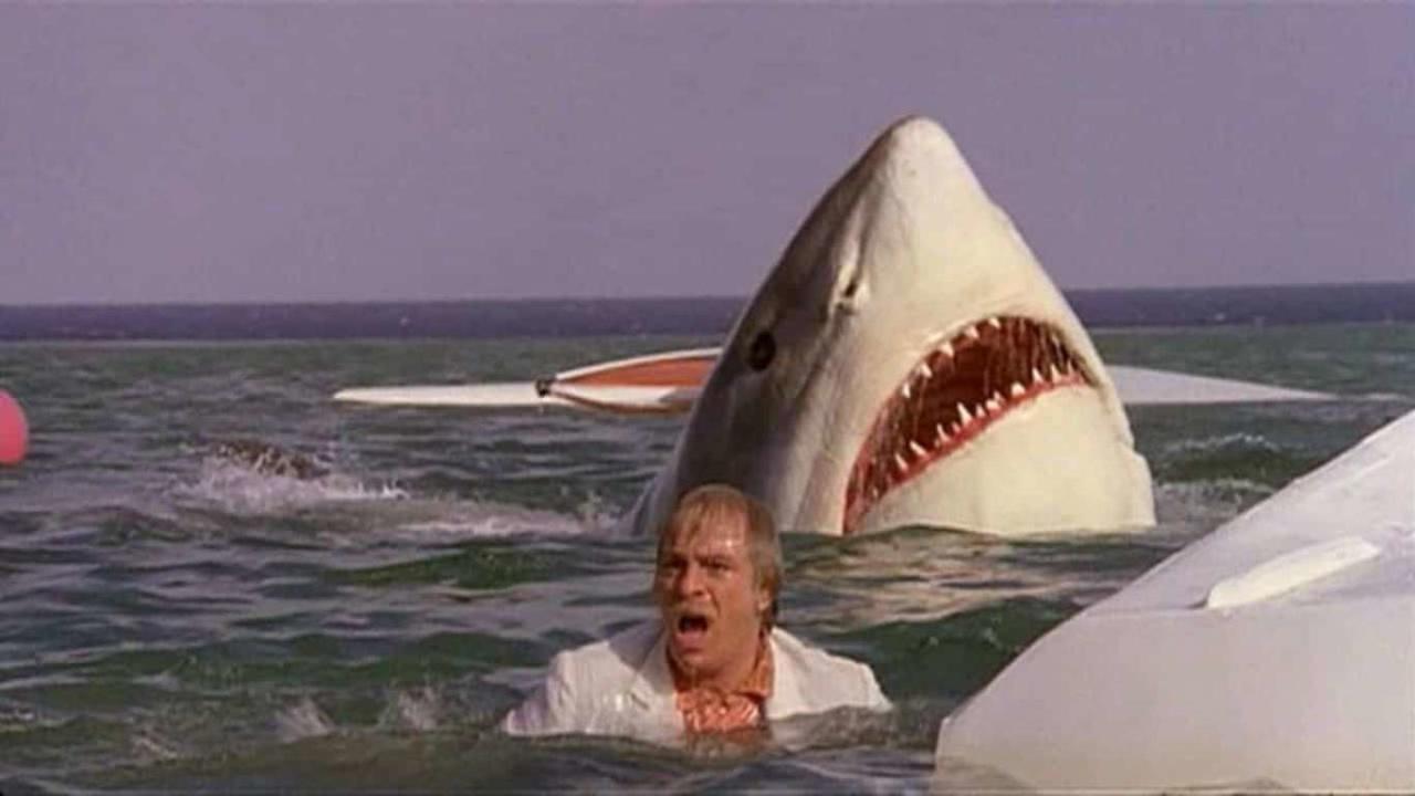 The Last Shark (1981)