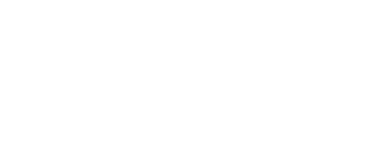 logo nextwork VTM GO+
