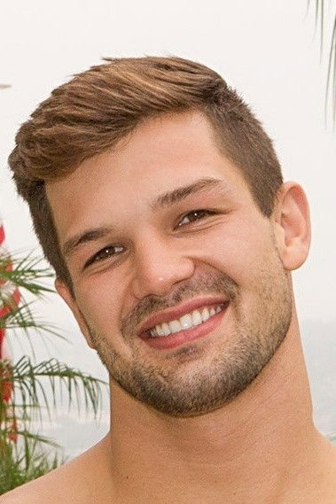 et billede af Brysen