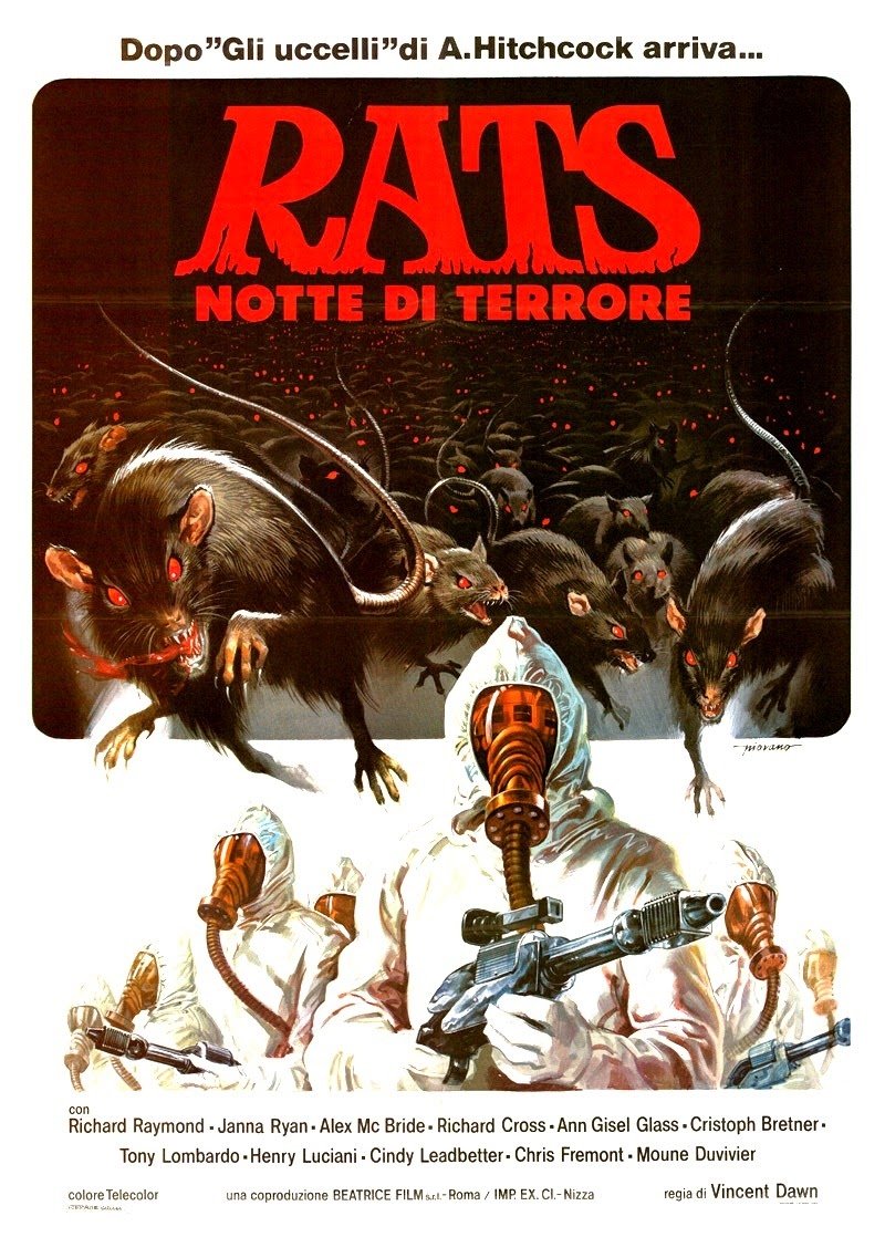 Capa do Filme 