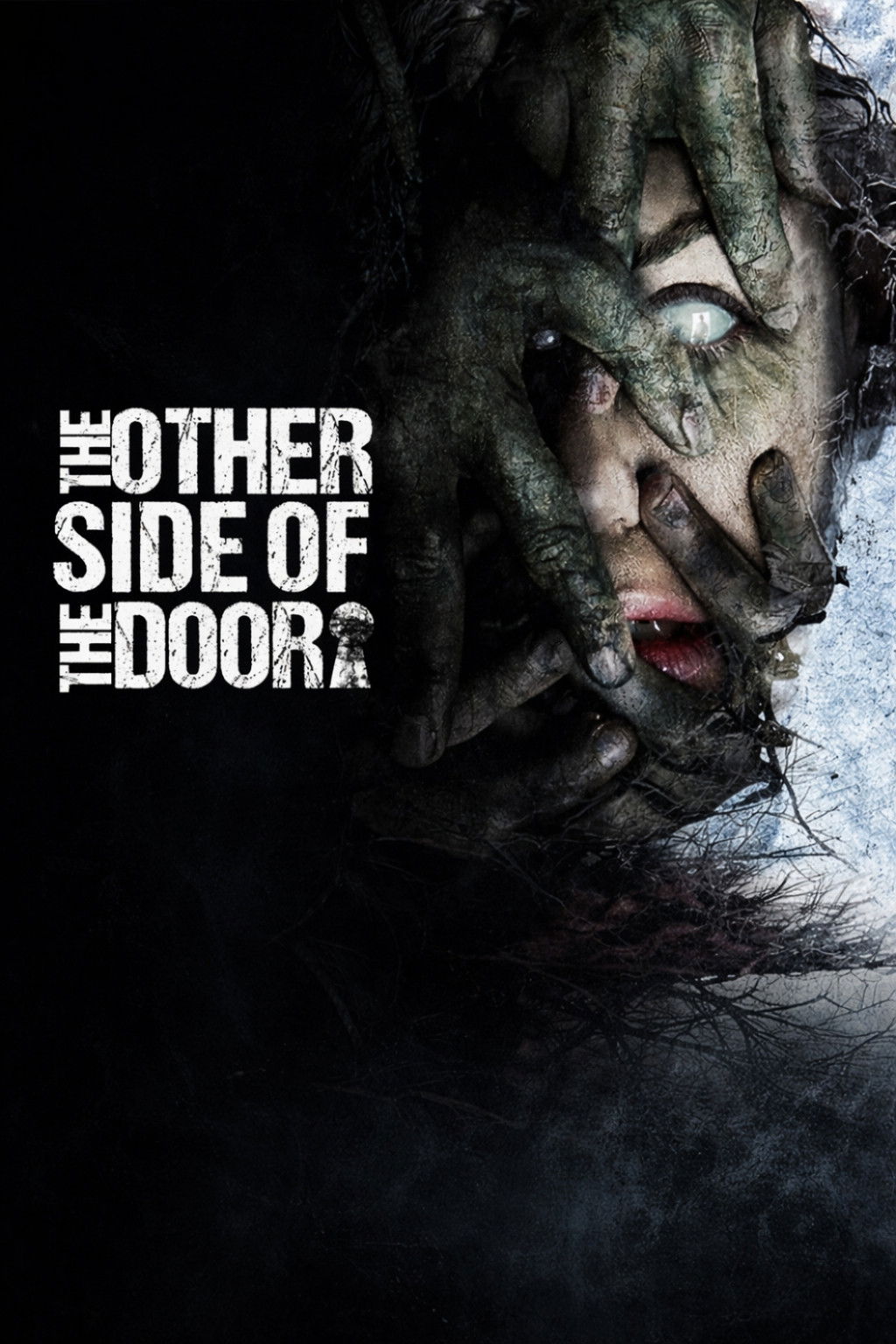 The Other Side of the Door