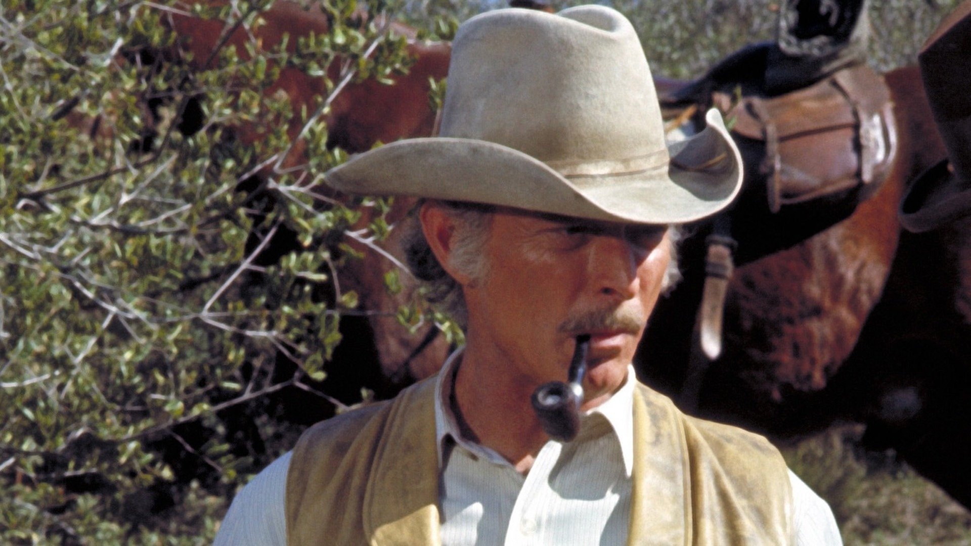The Magnificent Seven Ride! (1972)