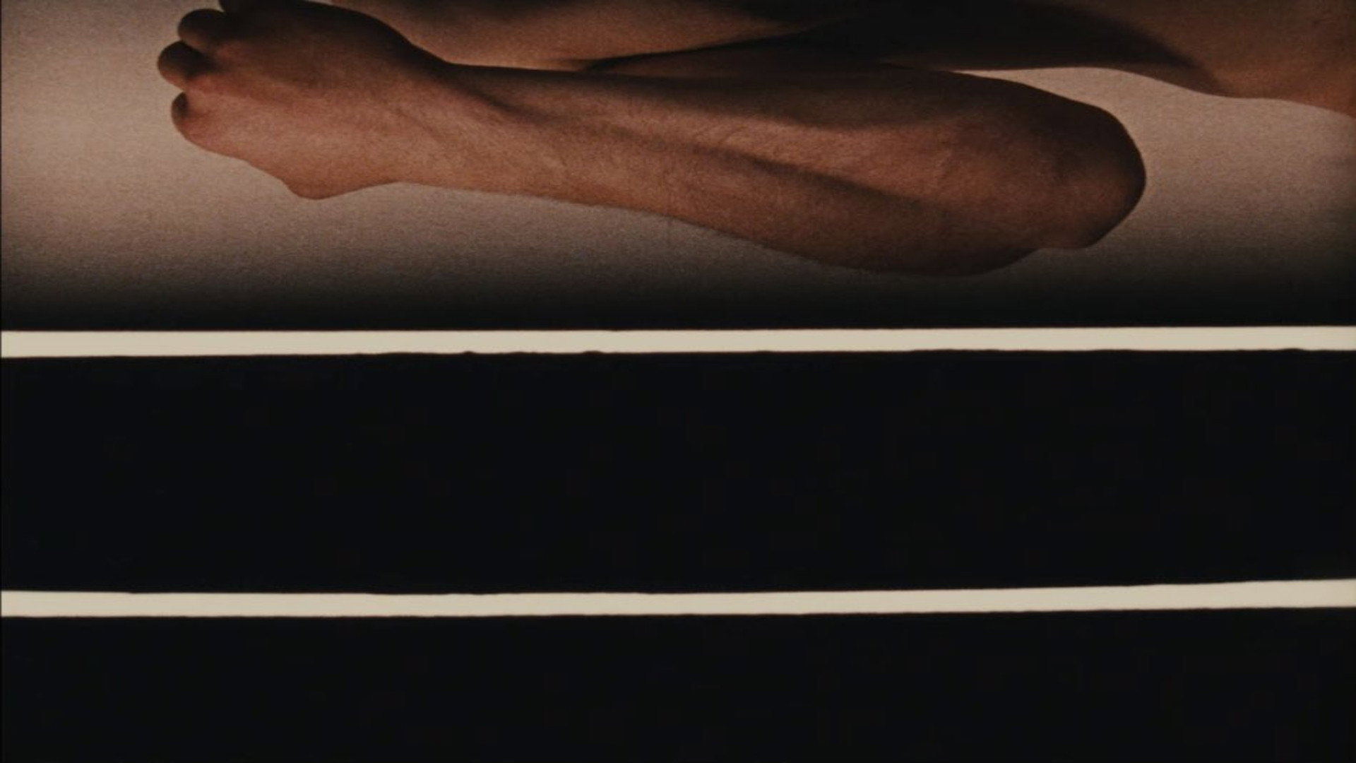 From the Notebook of...