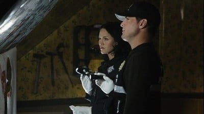 CSI - Den Tätern auf der Spur Staffel 11 :Folge 22 
