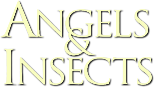 Angels and Insects Logo