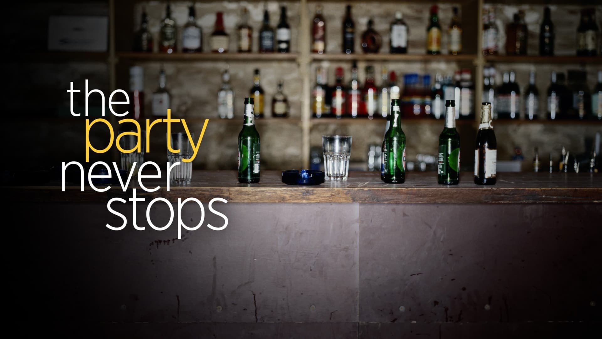 The Party Never Stops: Diary of a Binge Drinker (2007)