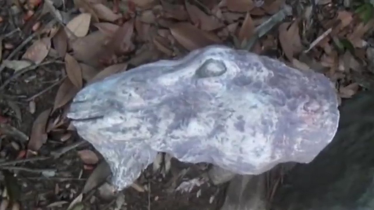 Posted Psychic File: Cursed Dream (2013)