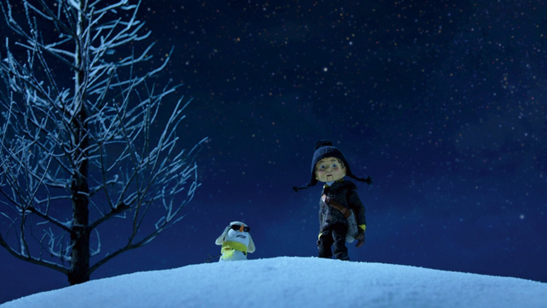 Norman the Snowman: On a Night of Shooting Stars (2014)