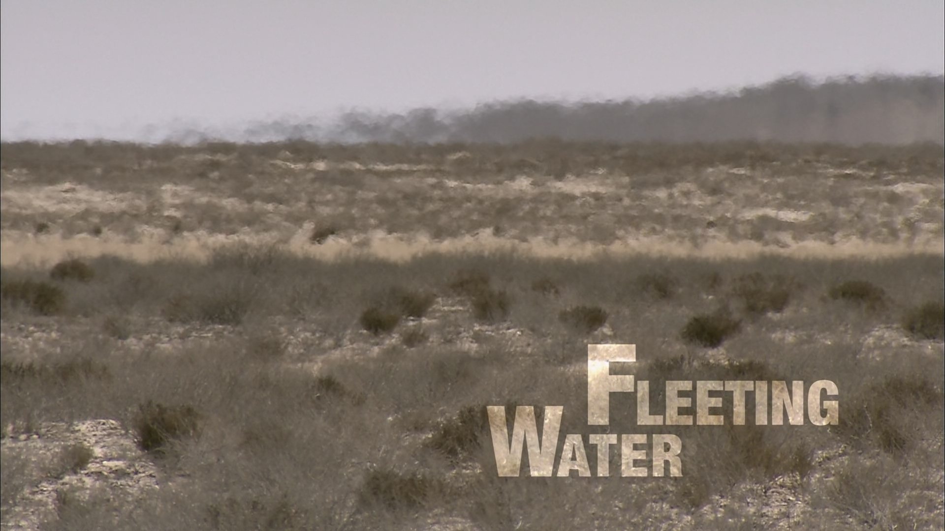 Thumbnail for Fleeting Water Season 1 Episode 12