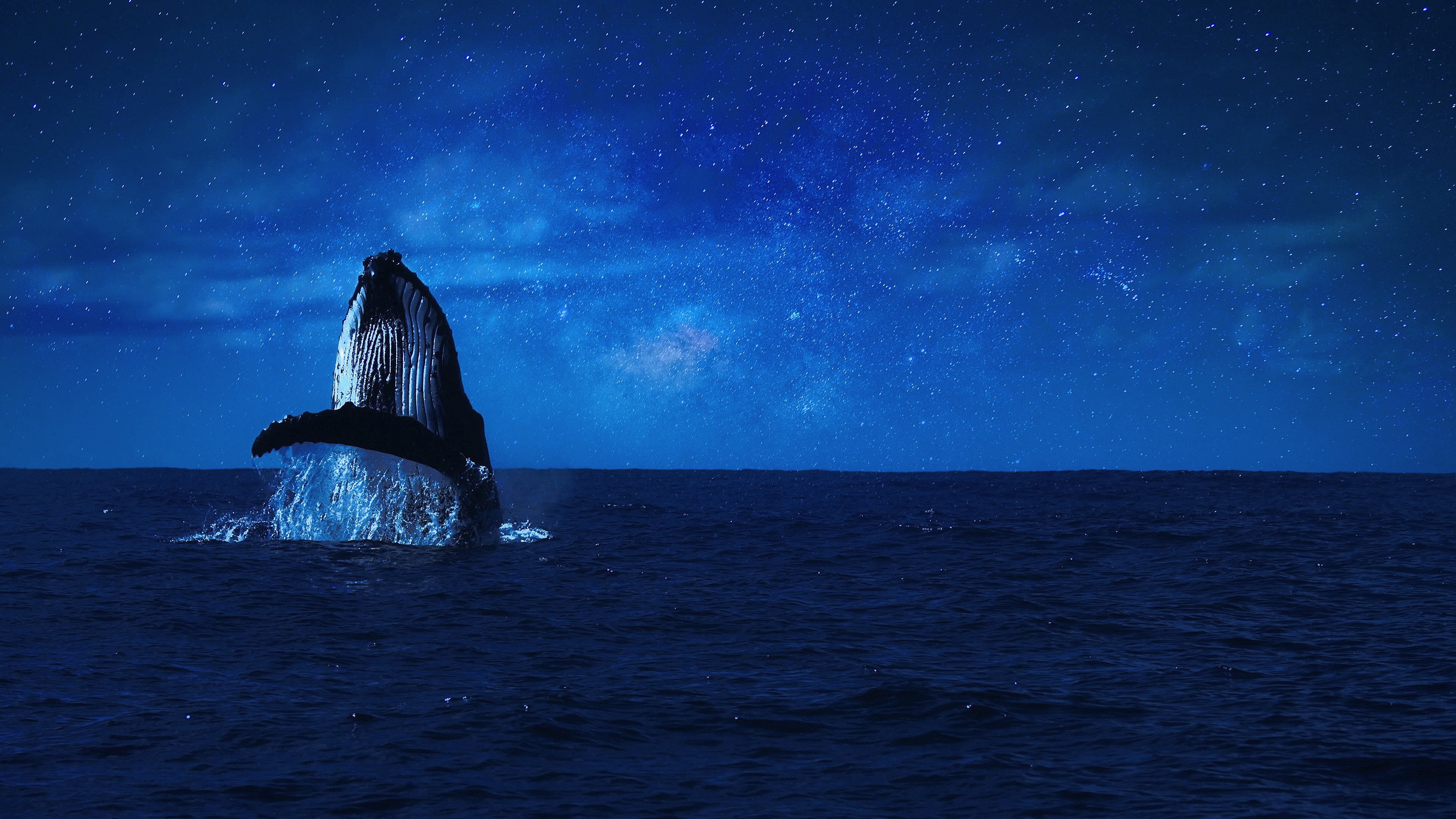 Whales and I (2024)