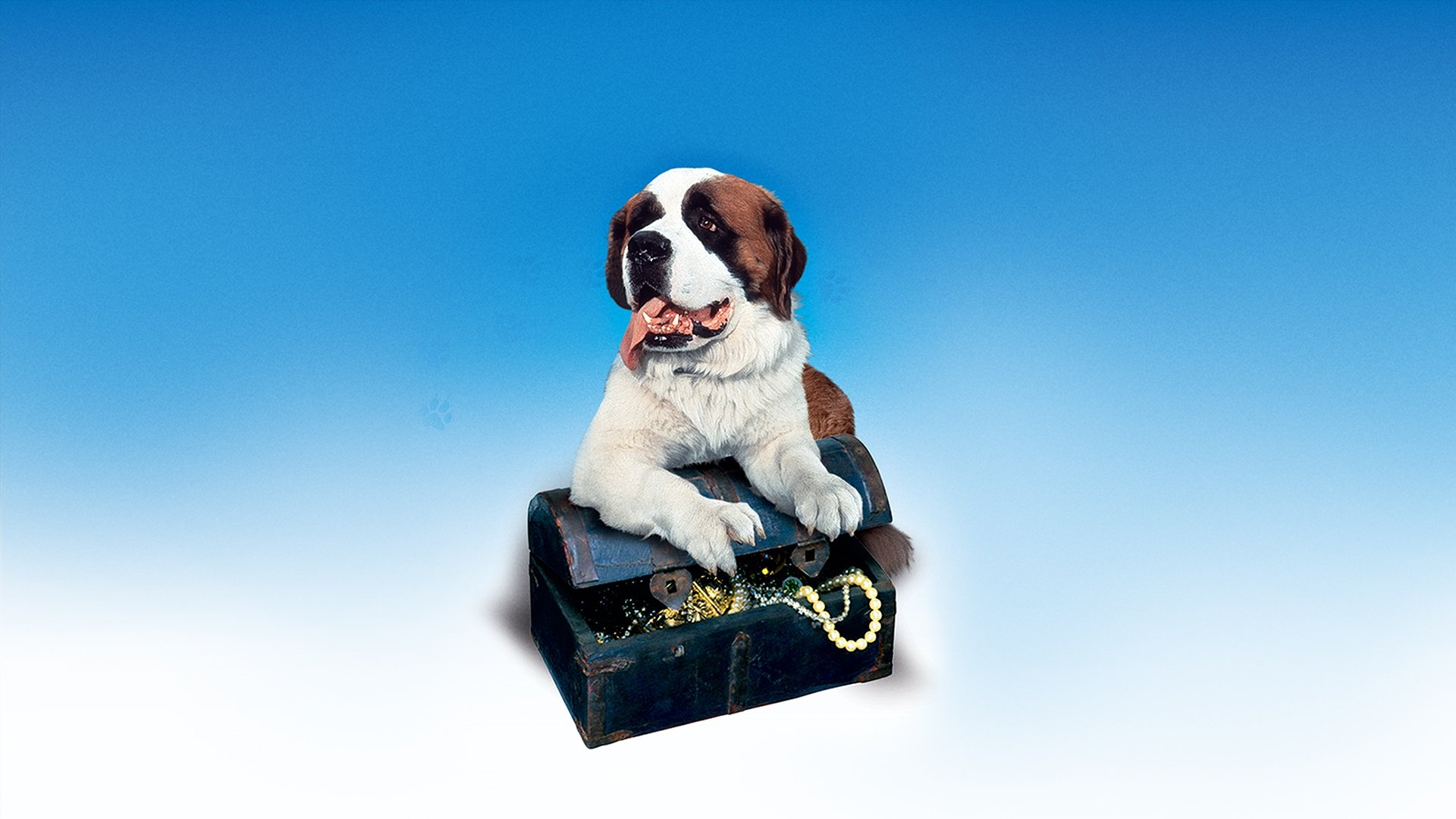 My Dog, the Thief