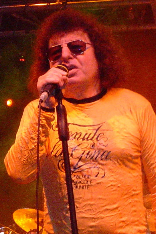 et billede af Ferenc Demjén