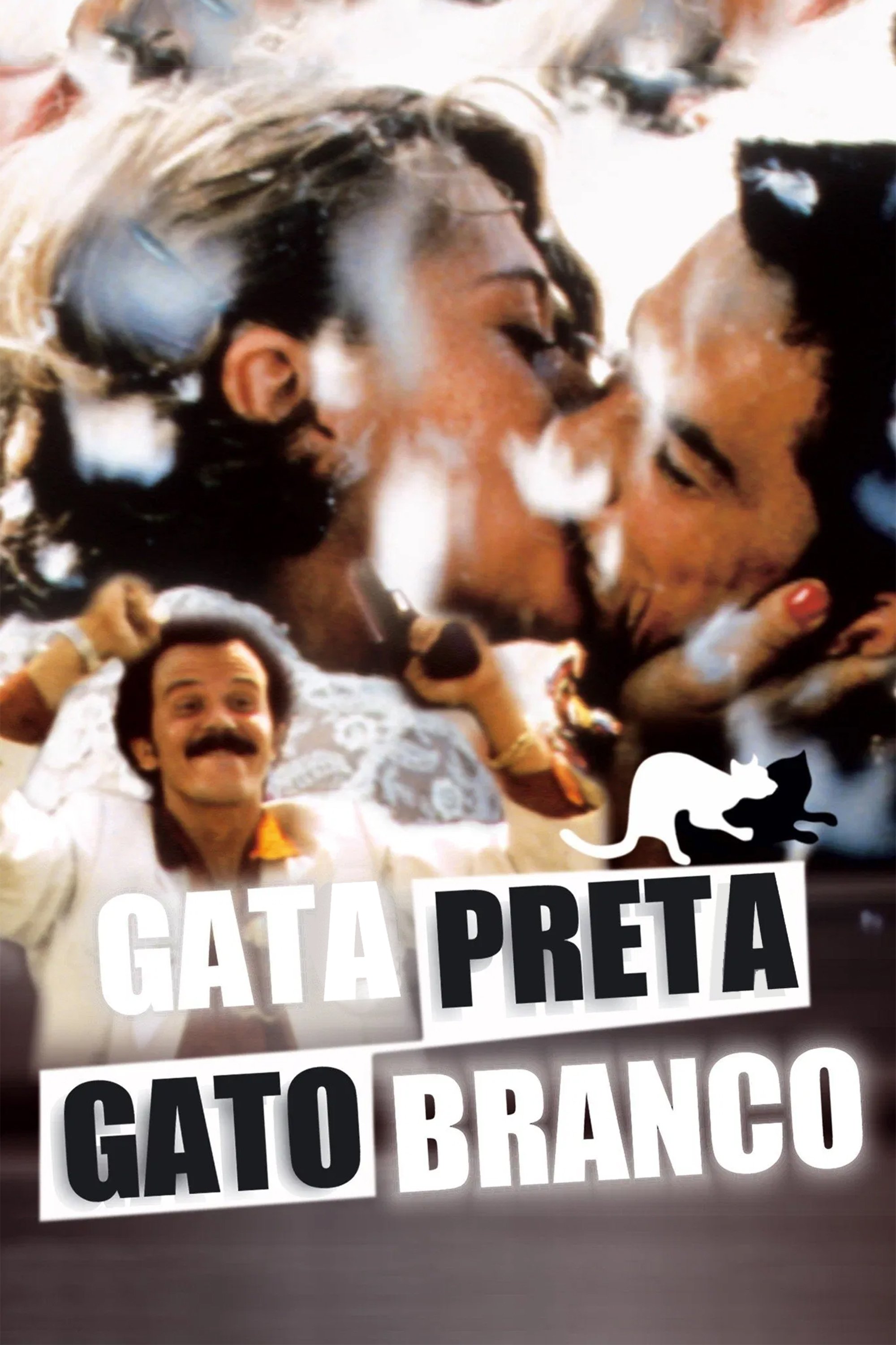 Gata Preta, Gato Branco Gata Preta, Gato Branco