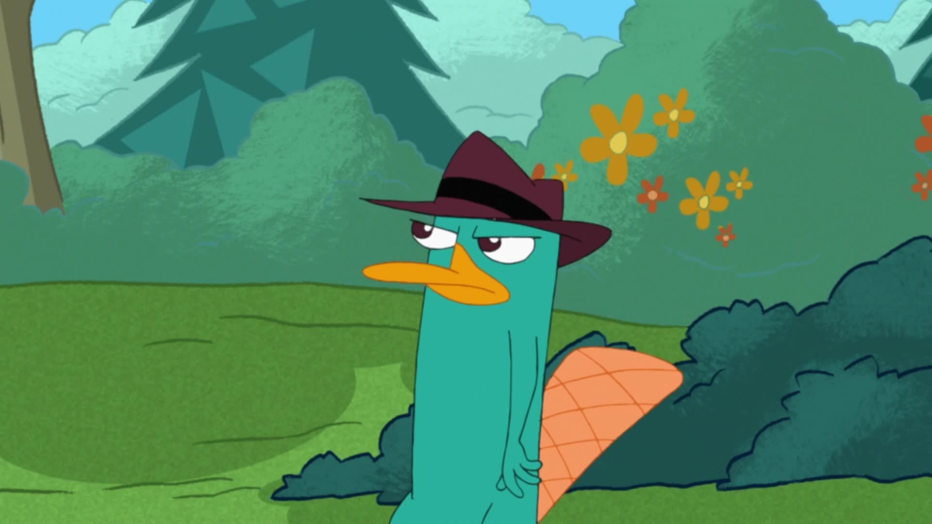 Phineas and Ferb
