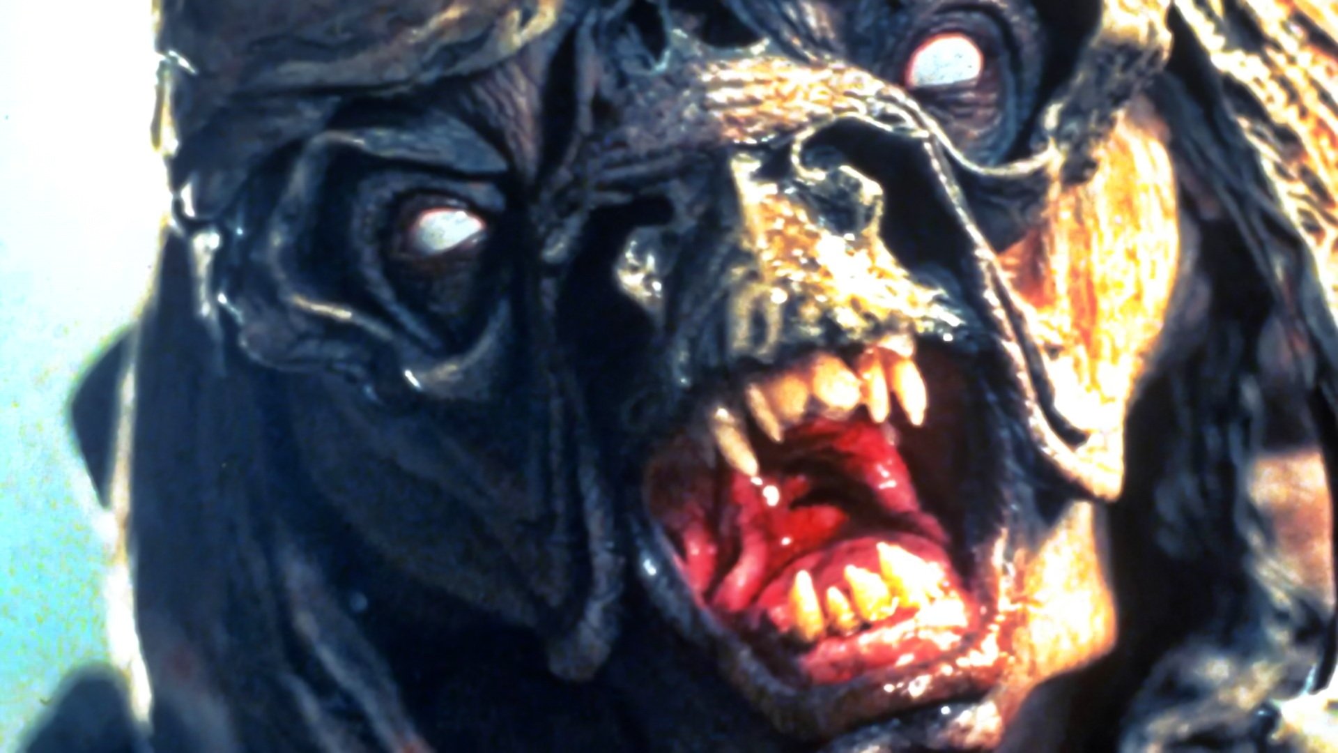 Within the Rock (1996)