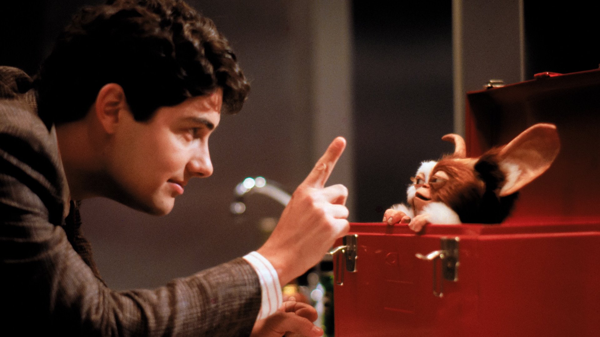 Image du film Gremlins 2, la nouvelle génération 7wur3myf23h1boyispqzzcny3qijpg