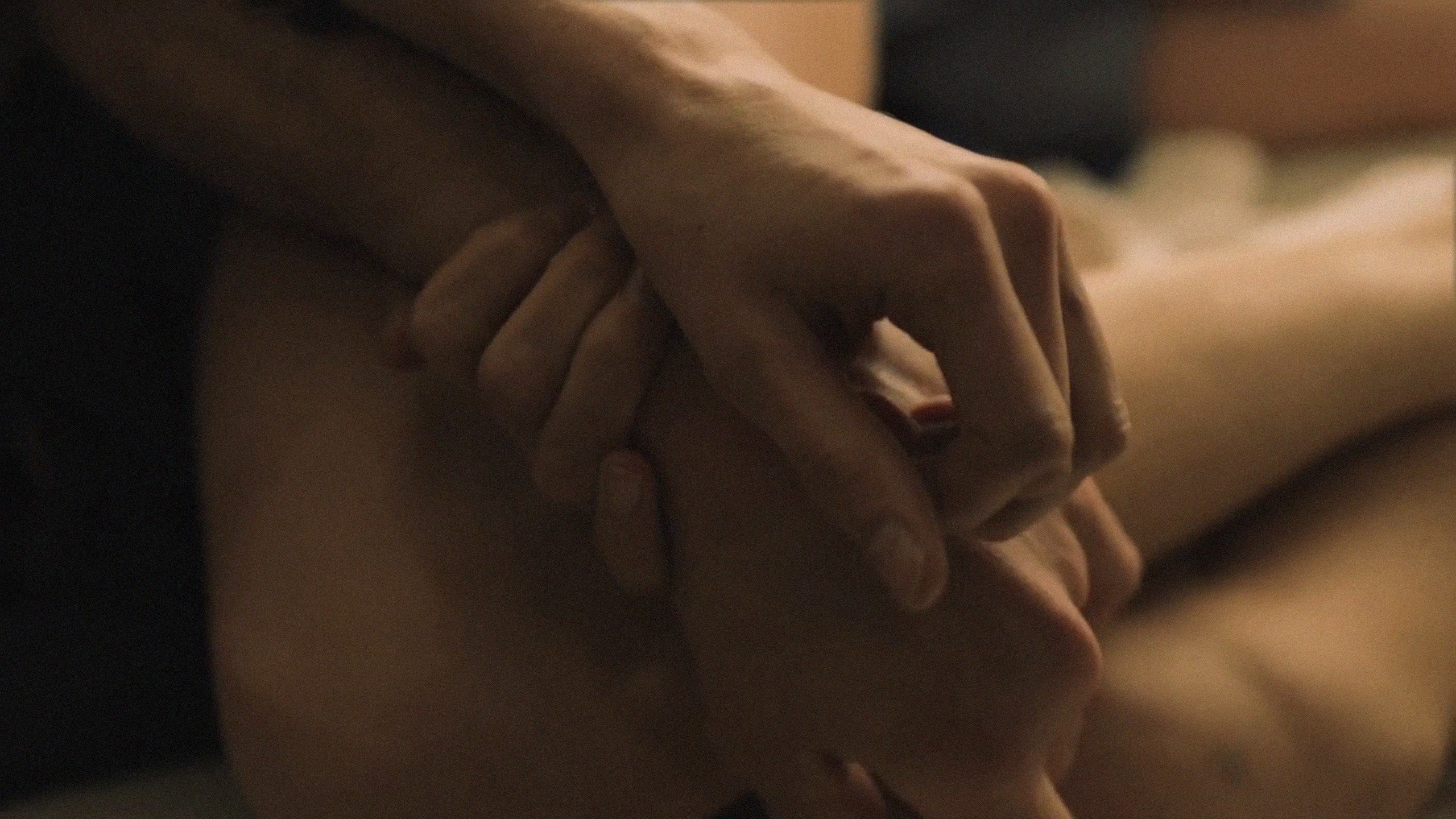 Sleeping with Frank (2010)